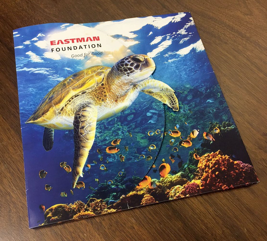 eastman turtle brochure finished print