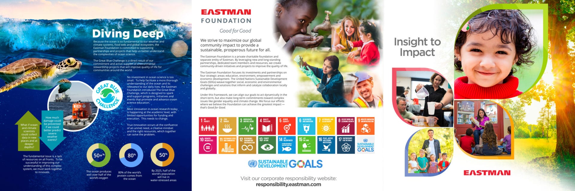 Eastman Insight to impact brochure - outside